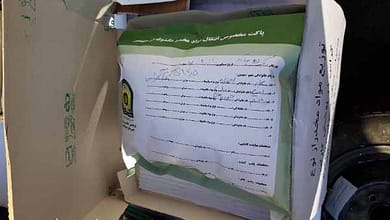 گراس در جعبه های پیتزا - حادثه - سایت حوادث